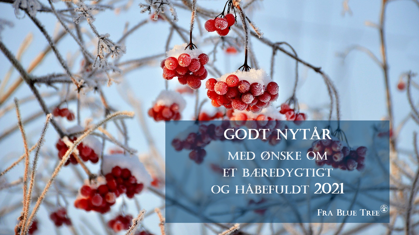Godtnytår v3 2021